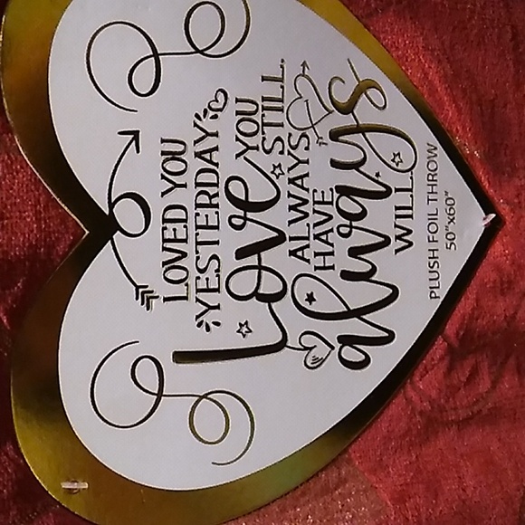 BUY NOW-Last one-NWT Plush Foil Throw - Picture 4 of 11